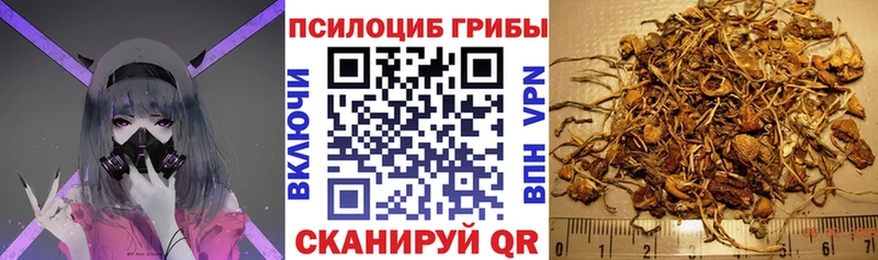 Псилоцибиновые грибы GOLDEN TEACHER  Егорьевск 