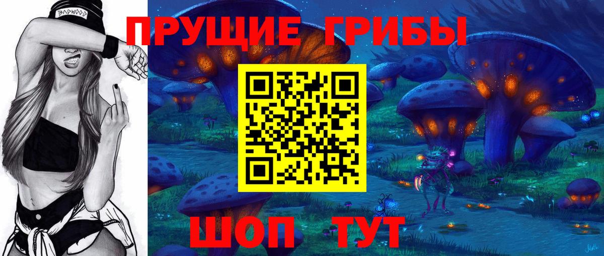 Галлюциногенные грибы Psilocybe Егорьевск