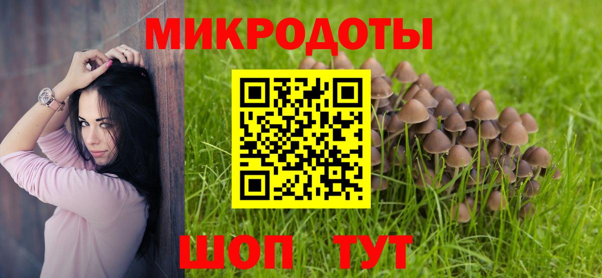 Егорьевск  Псилоцибиновые грибы MAGIC MUSHROOMS  Вход с VPN  Галлюциногенные грибы Cubensis 