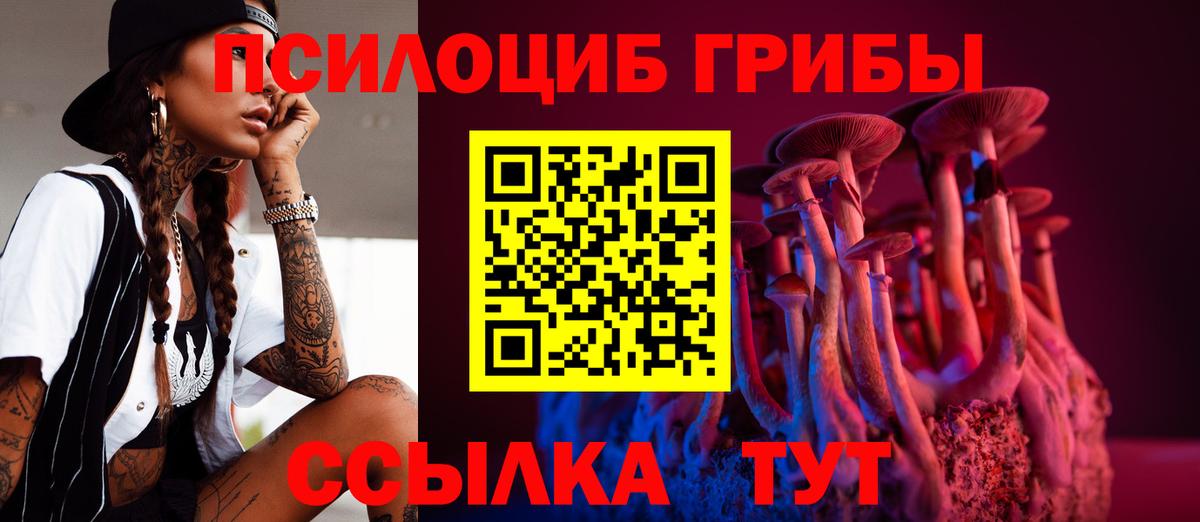 Галлюциногенные грибы Magic Shrooms  Егорьевск 