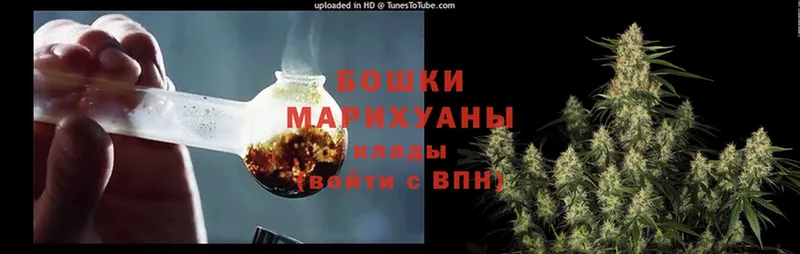 blacksprut ССЫЛКА  Егорьевск  Конопля сатива 